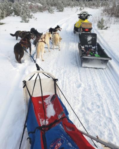 dogsled approved on a loan